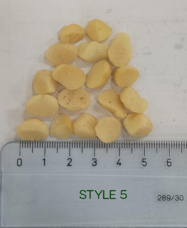 Macadamia Style 5 (October 2022 Shipment) from Kenya